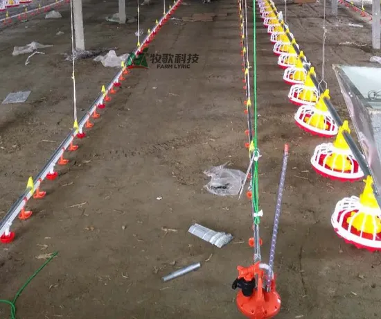 Supply Matching Broiler Breeding Equipment for Poultry Farm 