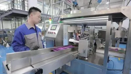 Automatic Stand up Doybag Pouch Packing Machine for Dried Beef Jerky Food 