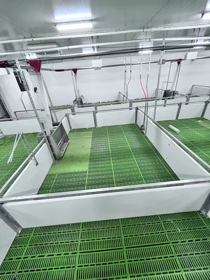 High Matching Double Body Nursery Pens Pig Breeding Equipment 