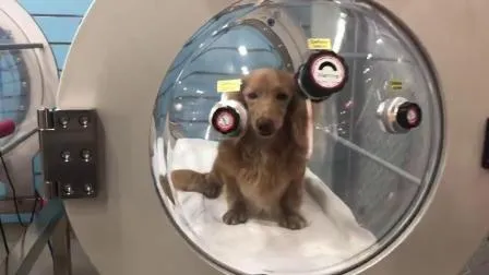 High Quality 1.4ATA Veterinary Equipment Hyperbaric Oxygen Capsule Hard 