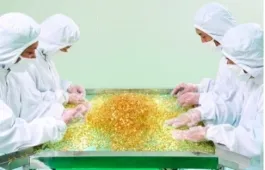 Soft Capsule Illuminated Inspection Benches Bespoke Factory Stainless Steel Inspection Softgel Inspection Equipment 
